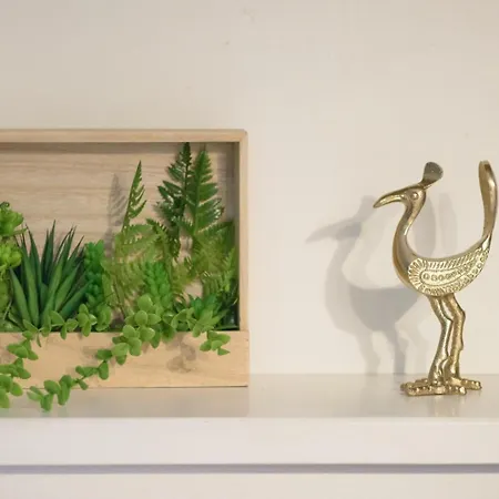 شقة La Violetta Di